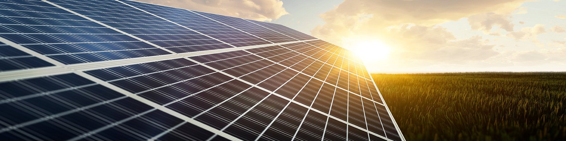 Solar panels in a field